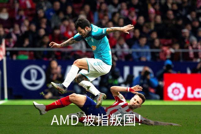 AMD 被指叛国！